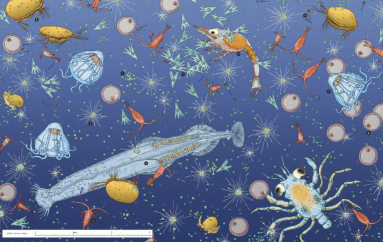 Exploring the Unseen World: From Microscopic to Paranormal